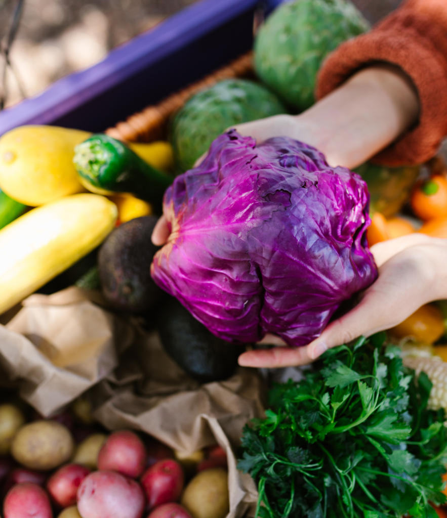 chou rouge ou comment faire ses courses sans supermarché en février