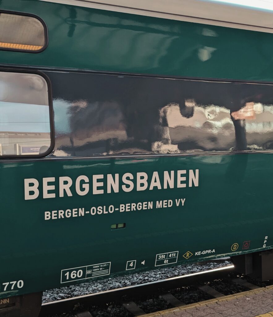 Bergensbanen mon premier voyage en solo avec interrail