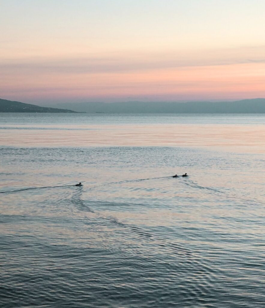 lac leman couché de soleil